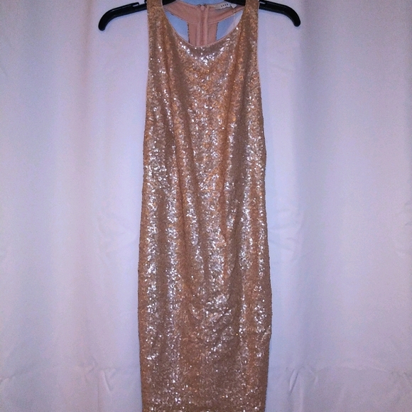 Gold/Blush Sequenced 🎉 Dress - Picture 1 of 7